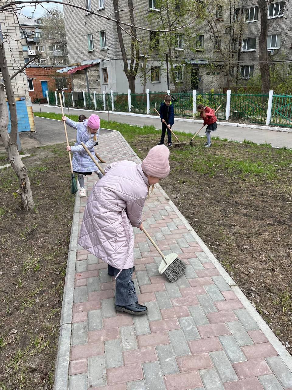 Операция &amp;quot;Чистый двор&amp;quot;.